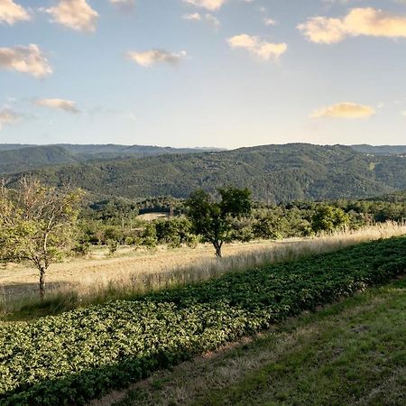 Appartamento Sunny Hill Vremski Britof Esterno foto