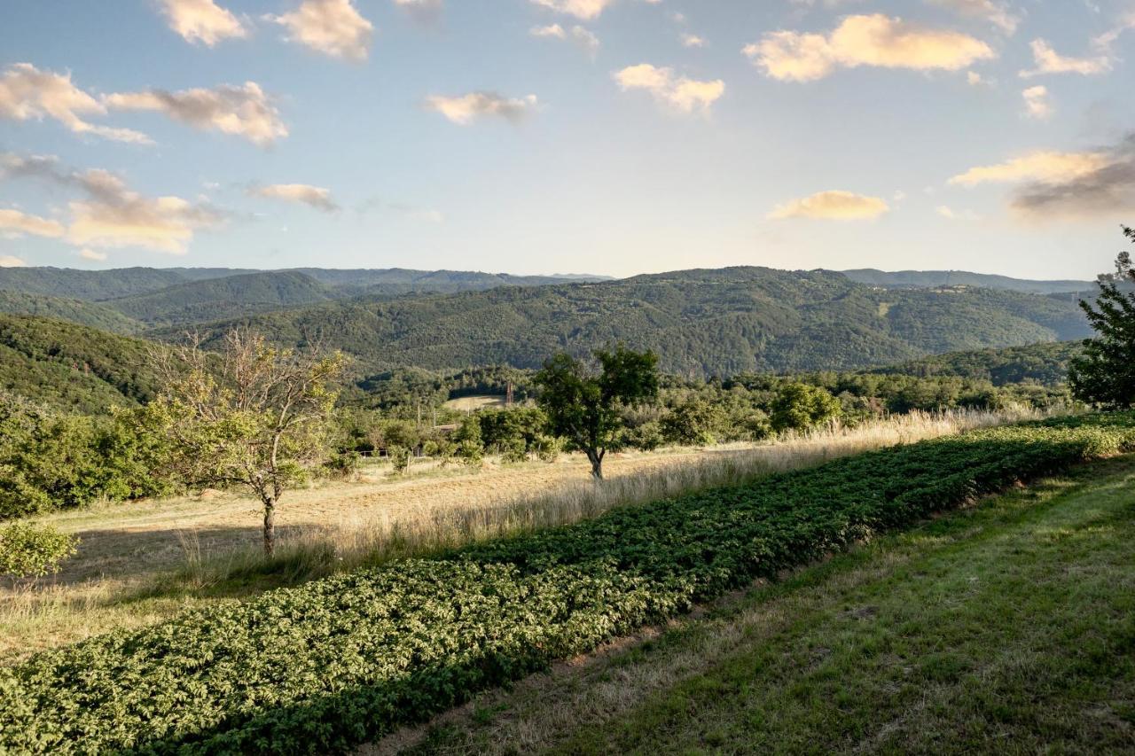 Appartamento Sunny Hill Vremski Britof Esterno foto