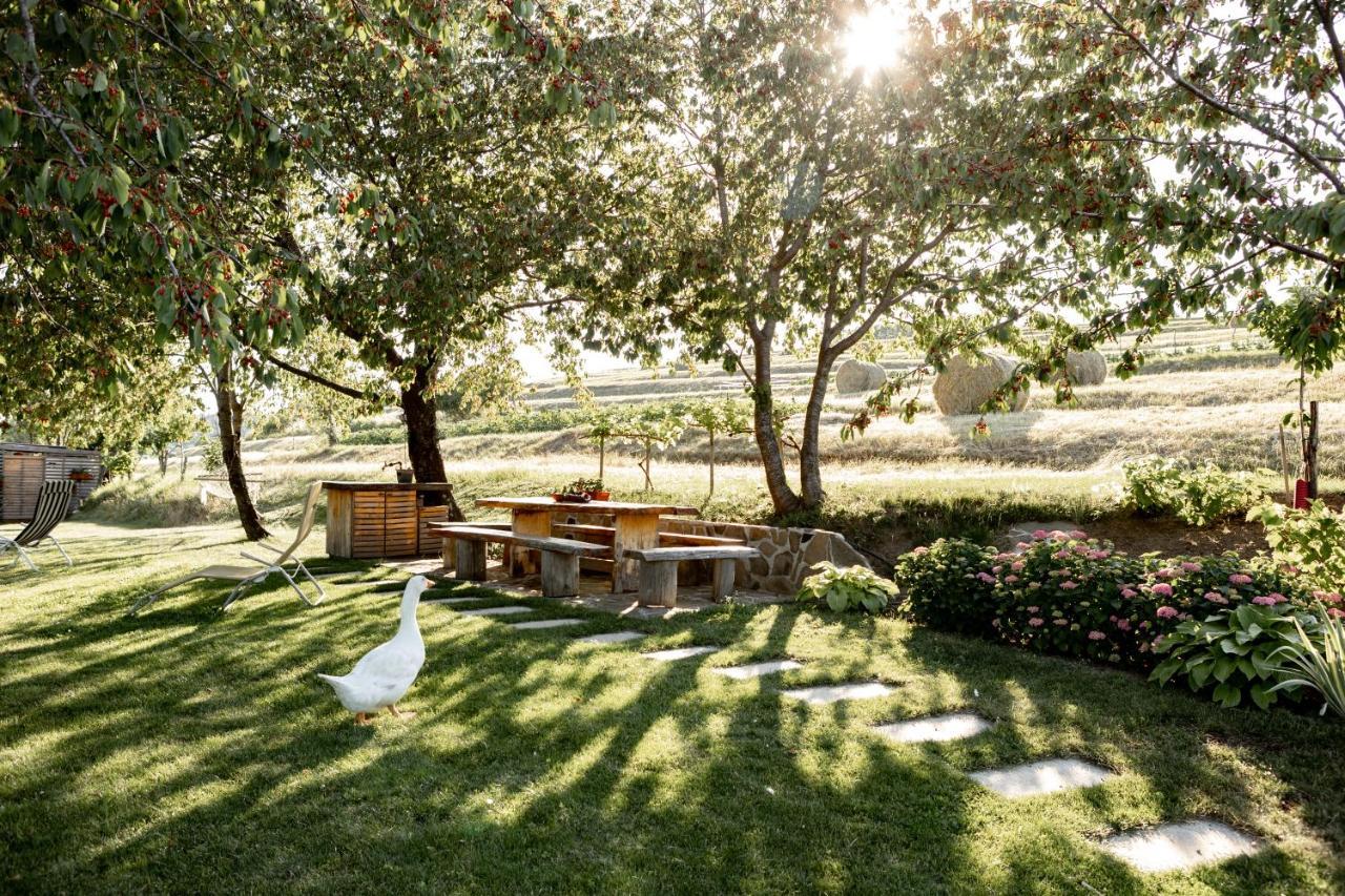 Appartamento Sunny Hill Vremski Britof Esterno foto