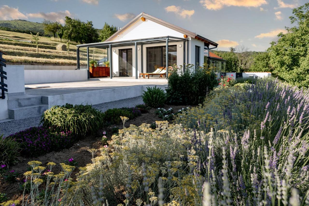 Appartamento Sunny Hill Vremski Britof Esterno foto